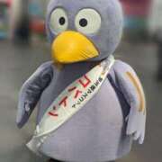 ヒメ日記 2025/04/11 22:26 投稿 ♡ハルカ MEGA PALACE(メガパレス）