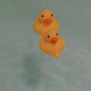 ヒメ日記 2025/10/03 19:38 投稿 ♡ハルカ MEGA PALACE(メガパレス）