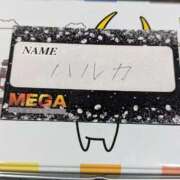ヒメ日記 2026/05/04 23:38 投稿 ♡ハルカ MEGA PALACE(メガパレス）