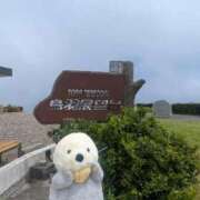 ヒメ日記 2026/08/01 23:49 投稿 ♡ハルカ MEGA PALACE(メガパレス）