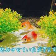 ヒメ日記 2025/03/03 15:17 投稿 あや プールサイド新橋店