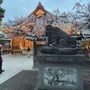 ヒメ日記 2025/03/06 18:30 投稿 あや プールサイド新橋店