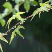 ヒメ日記 2025/07/04 01:52 投稿 あや プールサイド新橋店