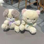 ヒメ日記 2025/06/25 21:20 投稿 ひなの SPIN(スピン)