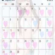 ヒメ日記 2025/08/29 07:01 投稿 ゆめ 無敵YOKOHAMA