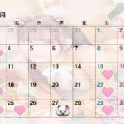 ヒメ日記 2025/11/03 14:11 投稿 ゆめ 無敵YOKOHAMA