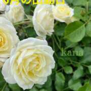 かな 6月の出勤予定です。 町田人妻浮気現場