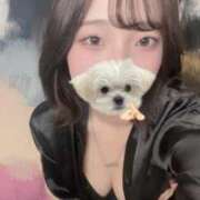 ヒメ日記 2025/10/26 14:17 投稿 しゅう 素人美少女専門　新横浜アンジェリーク（アンジェリークグループ）