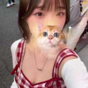 ヒメ日記 2025/11/04 12:06 投稿 しゅう 素人美少女専門　新横浜アンジェリーク（アンジェリークグループ）