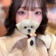 ヒメ日記 2025/11/27 14:31 投稿 しゅう 素人美少女専門　新横浜アンジェリーク（アンジェリークグループ）