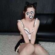 ヒメ日記 2025/02/16 20:42 投稿 ゆきの ホワイトベル