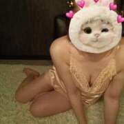 ヒメ日記 2025/02/17 10:02 投稿 ゆきの ホワイトベル