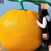 ひより 完売ありがとう🍊🤍 天空のマット　熊本店