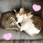 ヒメ日記 2025/02/22 18:11 投稿 あすな デザインプリズム新宿