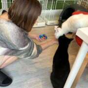 ヒメ日記 2025/03/29 17:25 投稿 あすな デザインプリズム新宿