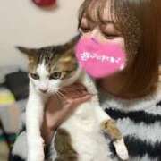 ヒメ日記 2025/04/29 23:19 投稿 あすな デザインプリズム新宿