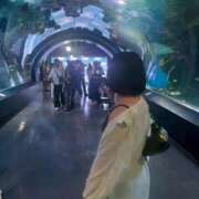 ヒメ日記 2025/08/03 12:25 投稿 あすな デザインプリズム新宿