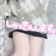 ヒメ日記 2025/02/25 09:47 投稿 あゆむ One More 奥様　五反田店