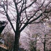 ヒメ日記 2025/03/30 09:59 投稿 さあや 多治見・土岐・春日井ちゃんこ