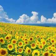 ヒメ日記 2025/07/30 22:09 投稿 さあや 多治見・土岐・春日井ちゃんこ