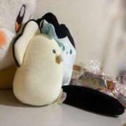 ヒメ日記 2025/09/12 17:19 投稿 さあや 多治見・土岐・春日井ちゃんこ