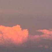 ヒメ日記 2025/09/19 18:29 投稿 さあや 多治見・土岐・春日井ちゃんこ