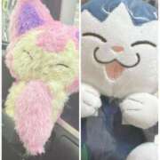 ヒメ日記 2025/09/25 19:09 投稿 さあや 多治見・土岐・春日井ちゃんこ