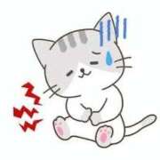 ヒメ日記 2025/11/14 06:59 投稿 さあや 多治見・土岐・春日井ちゃんこ