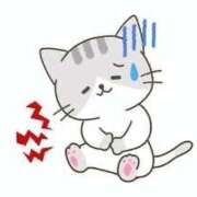 ヒメ日記 2025/11/16 08:49 投稿 さあや 多治見・土岐・春日井ちゃんこ