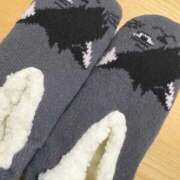 ヒメ日記 2025/11/25 06:59 投稿 さあや 多治見・土岐・春日井ちゃんこ