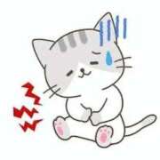 ヒメ日記 2025/11/27 06:59 投稿 さあや 多治見・土岐・春日井ちゃんこ