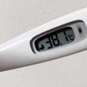 ほし ほし（clubさくら日本橋店） club さくら日本橋店