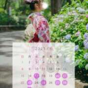 ヒメ日記 2025/06/08 11:29 投稿 れいな 無敵YOKOHAMA