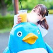 ヒメ日記 2025/07/06 11:44 投稿 れいな 無敵YOKOHAMA