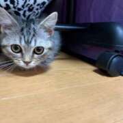 ヒメ日記 2025/06/26 08:59 投稿 りいさ 西川口ちゃんこ