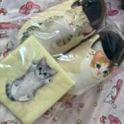 ヒメ日記 2025/11/04 11:59 投稿 りいさ 西川口ちゃんこ