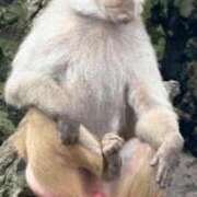 ヒメ日記 2026/03/02 11:59 投稿 りいさ 西川口ちゃんこ