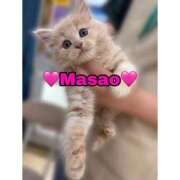 ヒメ日記 2026/03/19 18:19 投稿 りいさ 西川口ちゃんこ