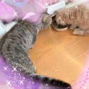 ヒメ日記 2026/03/24 15:49 投稿 りいさ 西川口ちゃんこ