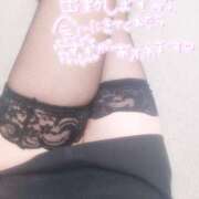 ヒメ日記 2025/03/15 14:17 投稿 吉永　瞳 スッキリ商事