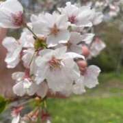 ヒメ日記 2025/04/20 23:17 投稿 吉永　瞳 スッキリ商事