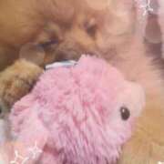 ヒメ日記 2025/05/16 18:17 投稿 吉永　瞳 スッキリ商事