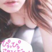 ヒメ日記 2025/06/23 16:15 投稿 吉永　瞳 スッキリ商事