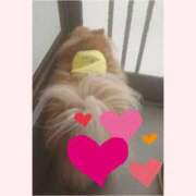 ヒメ日記 2025/06/29 12:21 投稿 吉永　瞳 スッキリ商事