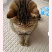 ヒメ日記 2026/03/05 12:08 投稿 吉永　瞳 スッキリ商事