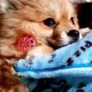 ヒメ日記 2026/04/17 14:10 投稿 吉永　瞳 スッキリ商事