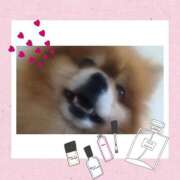 ヒメ日記 2026/04/24 18:45 投稿 吉永　瞳 スッキリ商事