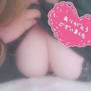 ヒメ日記 2024/12/19 15:09 投稿 つばき 多治見・土岐・春日井ちゃんこ