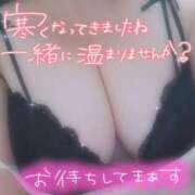 ヒメ日記 2026/01/12 22:32 投稿 つばき 多治見・土岐・春日井ちゃんこ