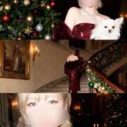 ヒメ日記 2025/12/24 22:09 投稿 こころ buzz-B